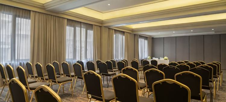 布宜诺斯艾利斯克里隆NH精选酒店(NH Collection Buenos Aires Crillon)图片