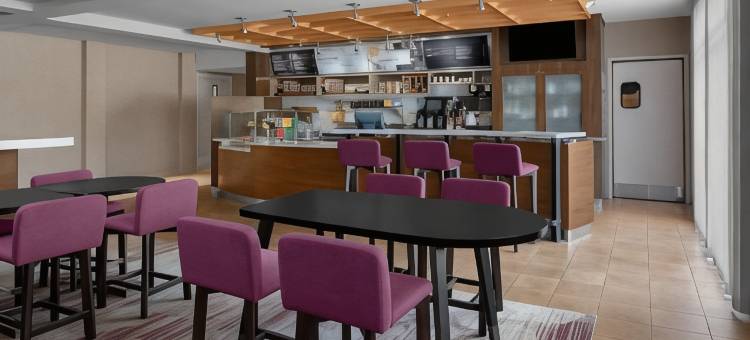 底特律布莱顿万怡酒店(Courtyard Detroit Brighton)图片