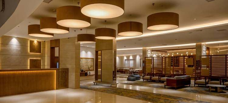 TIARA 由 MPS(Tiara by Mps)图片