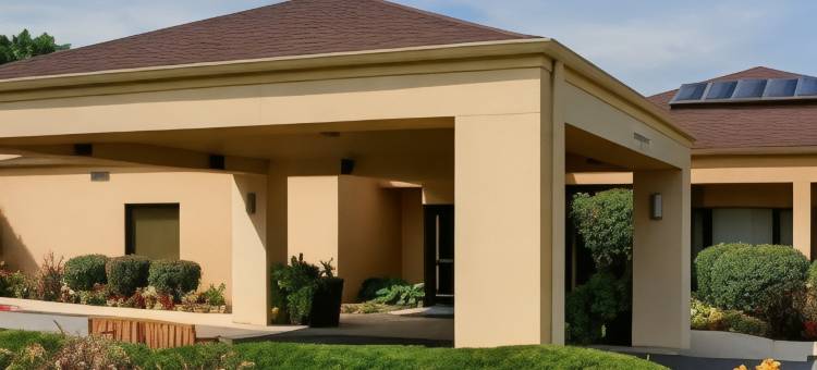 芝加哥-奥克布鲁克特莱斯露台万怡酒店(Courtyard Chicago Oakbrook Terrace)图片