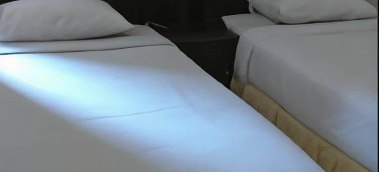 阿奇霍特尔2(Hotel Archie 2)图片