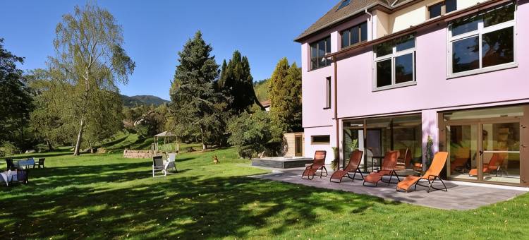 孚日之家酒店(Logis Hotel des Vosges)图片