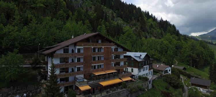小木屋大酒店(Hôtel le Grand Chalet)图片