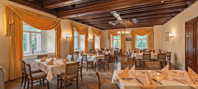 阿申瑞尼兹斯加罗酒店(Schloßhotel Althörnitz Neubau)图片