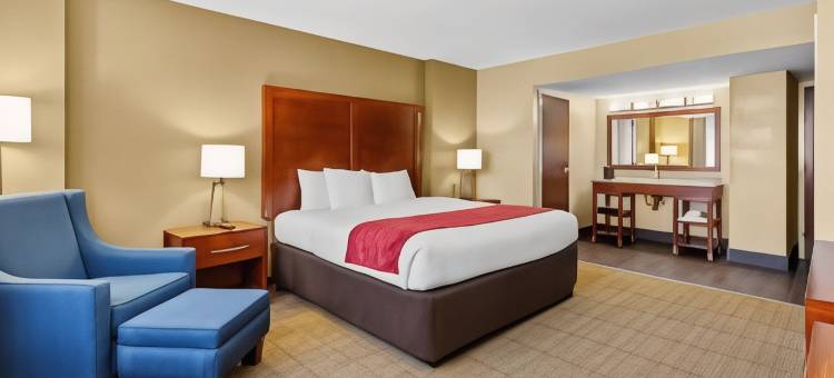 北莱克兰I-4舒适套房酒店(Comfort Inn & Suites Lakeland North I-4)图片