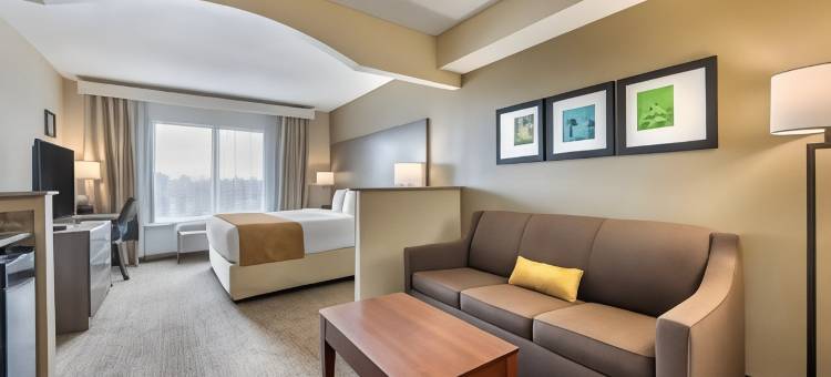 康福特套房索格拉斯(Comfort Suites Sawgrass)图片