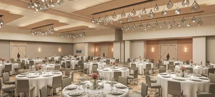 坦佩威斯汀酒店(The Westin Tempe)图片