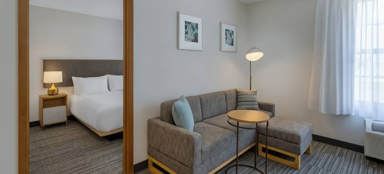 新奥尔良梅泰里万豪TownePlace酒店(TownePlace Suites New Orleans Metairie)图片