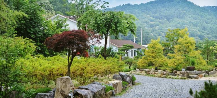 坛阳三叶草旅馆(Damyang Clover Pension)图片
