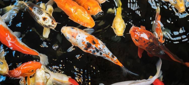 普林斯顿凯悦酒店(Hyatt Regency Princeton)图片