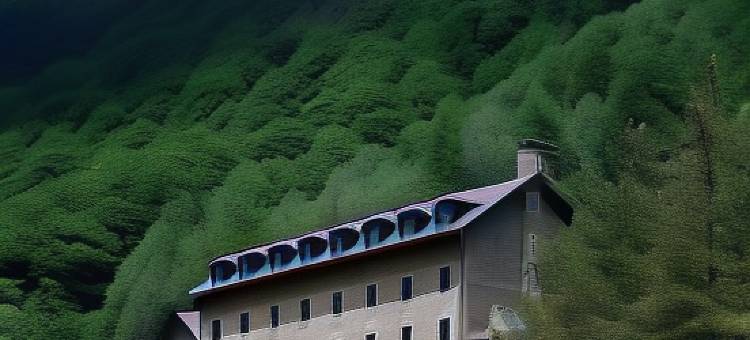 贝尔萨帕拉多尔酒店(Parador de Bielsa)图片