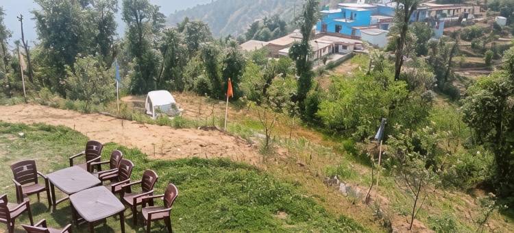 卡纳塔苹果庄园酒店(In Apple Estate Kanatal - Himalayan View Resort with Courteous Staff)图片