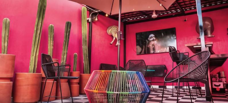 加利福尼亚塔拉克帕克旅馆(Homestal California Hostal en Tlaquepaque)图片