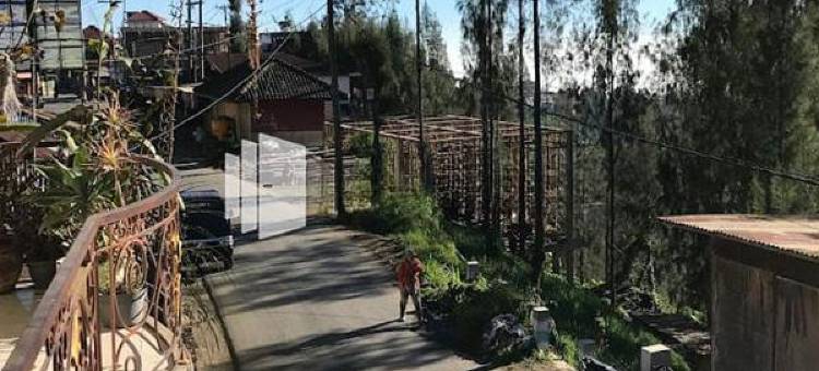 布罗莫英达乐斯塔里民宿-美特拉-RedDoorz(Bromo Indah Lestari Homestay Mitra RedDoorz)图片