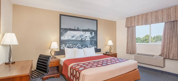 法布里奇威廉姆斯维尔布法罗机场快捷酒店(FairBridge Inn Express Buffalo Airport Williamsville)图片