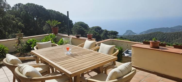 罗奎塔民宿(La Roqueta Hotel)图片