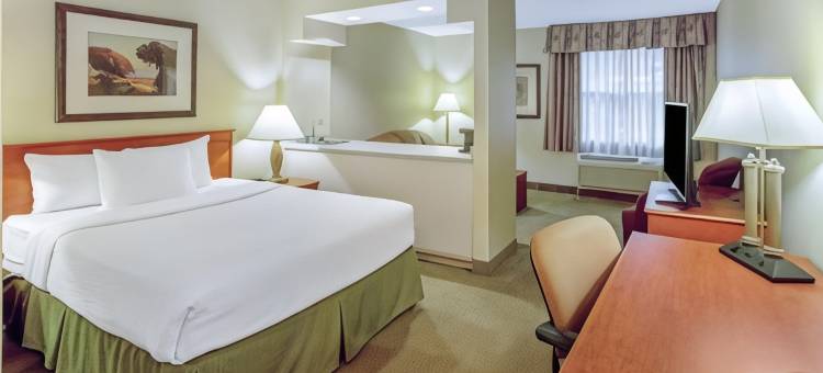 阿普尔顿学院大道拉昆塔温德姆套房酒店(La Quinta Inn & Suites by Wyndham Appleton College Avenue)图片