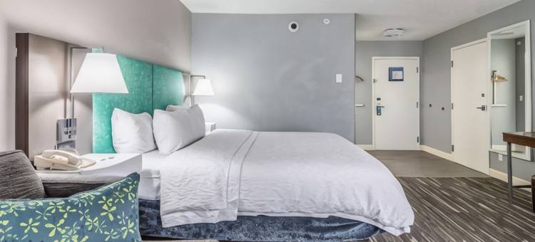 希尔顿欢朋酒店-扬斯敦北(Hampton Inn Youngstown-North)图片