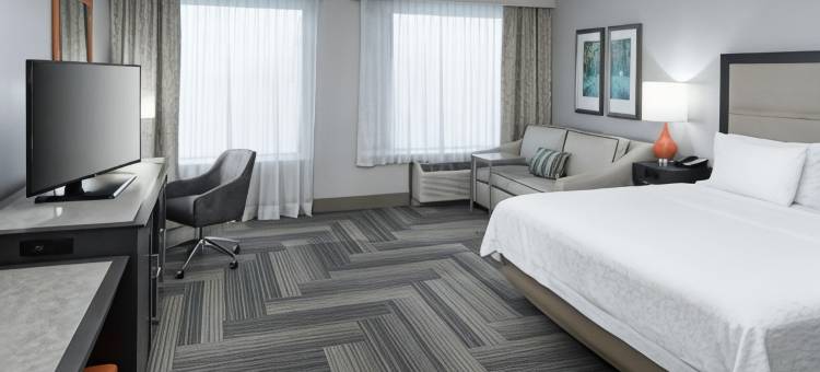 亚特兰大周界邓伍迪欢朋套房酒店(Hampton Inn & Suites Atlanta Perimeter Dunwoody)图片