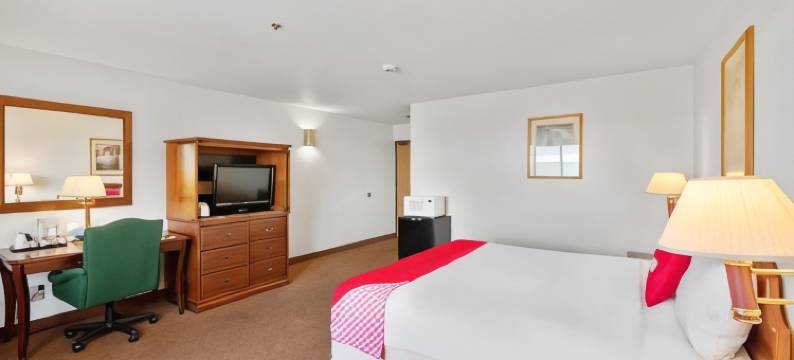 OYO  I-94波蒂奇酒店(OYO Hotel Portage I-94)图片