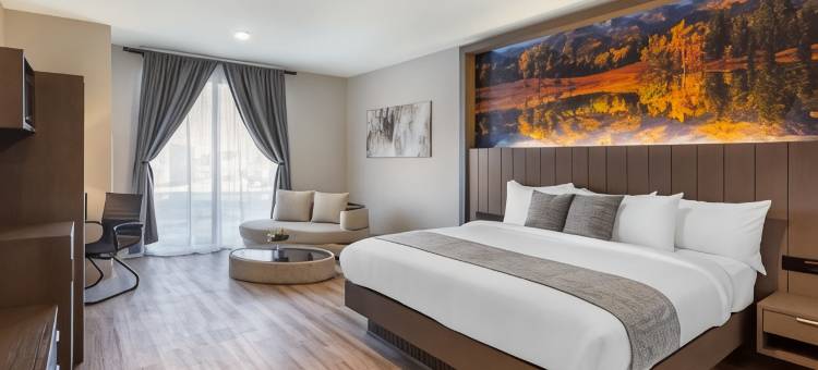 The Valor, 凯悦臻选酒店(The Valor, Ascend Hotel Collection)图片