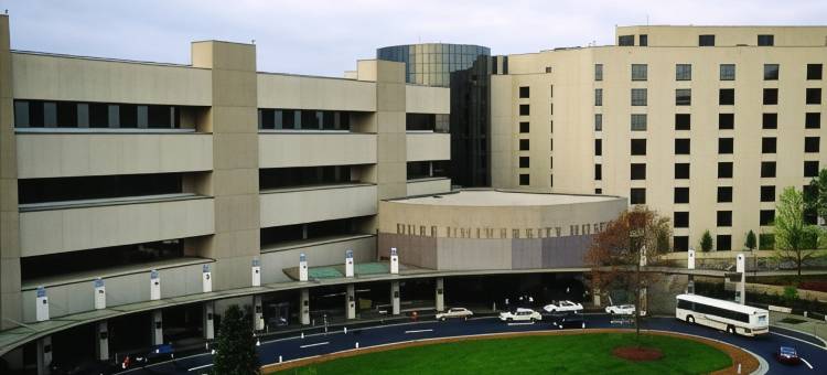 杜克大学旅馆(University Inn Duke)图片