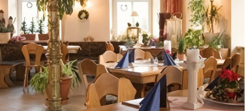 克雷切姆·施恩巴赫酒店(Kretscham Schönbach)图片