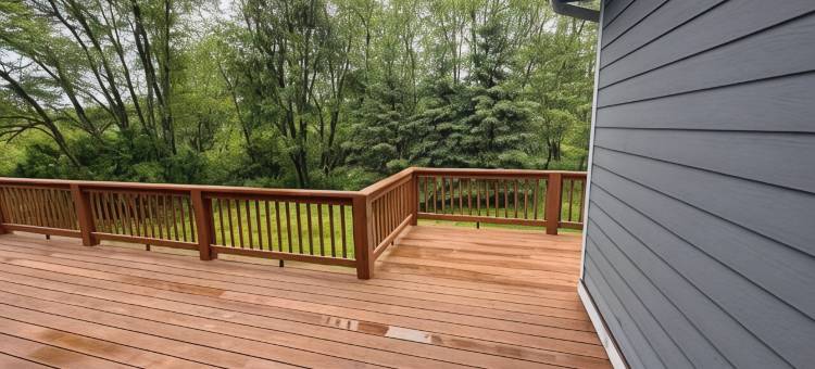 巴哈汽车旅馆(Baja Motel)图片