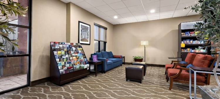 纳什维尔舒适套房酒店(Comfort Suites)图片