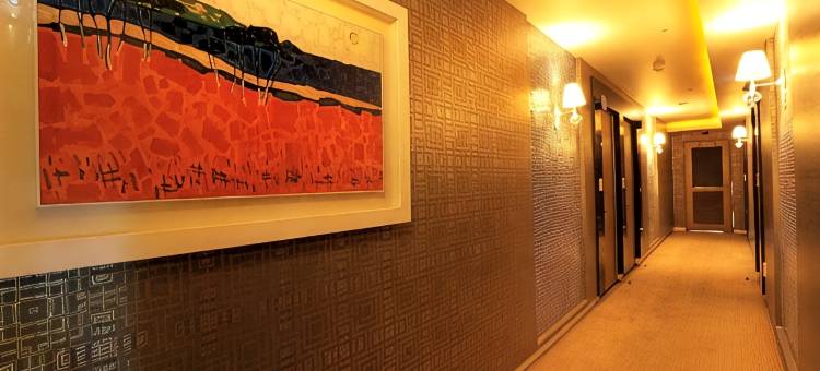 江南星酒店(Hotel Star Gangnam)图片