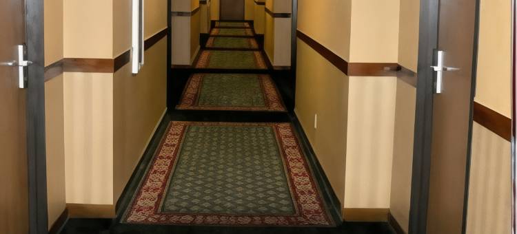 品质套房酒店(Quality Inn & Suites)图片