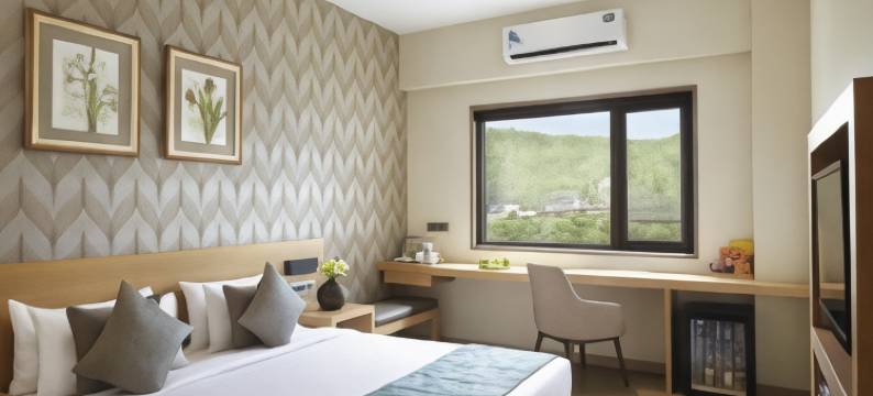 朱纳格特点击酒店(Click Hotel, Junagadh)图片