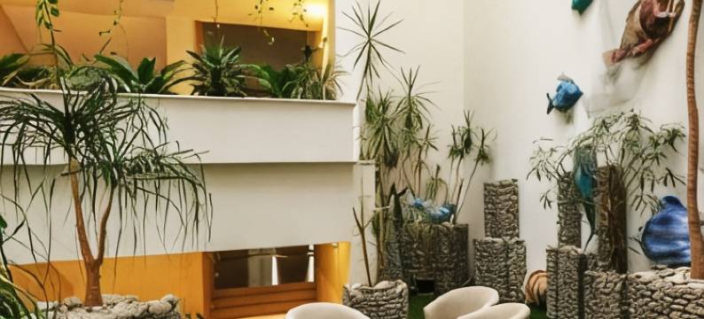 Carine德尔芬酒店(Carine Hotel Delfin)图片