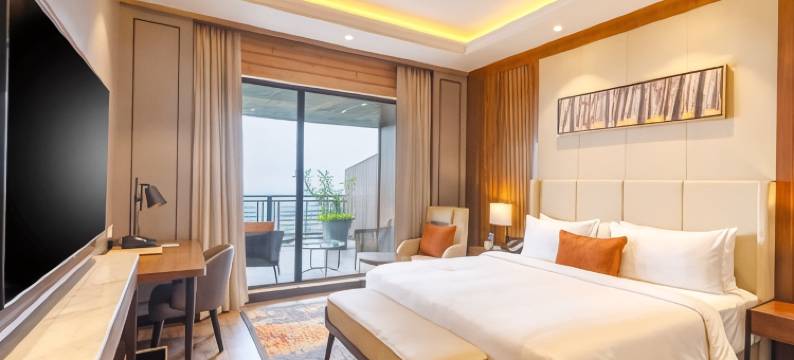 达拉姆沙拉丽笙度假酒店(Radisson Blu Resort Dharamshala)图片