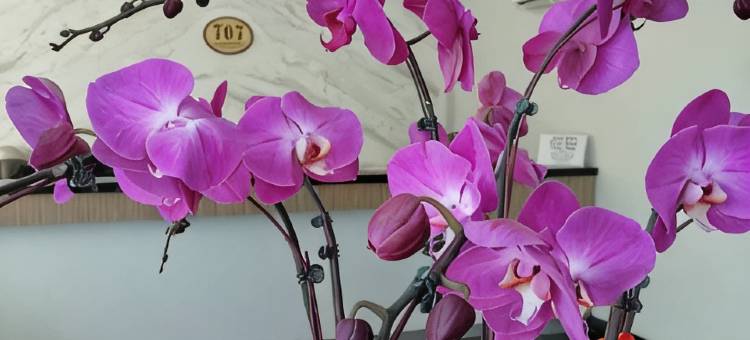 马六甲郑和707酒店(707 Hotel (Cheng Ho ) Melaka)图片