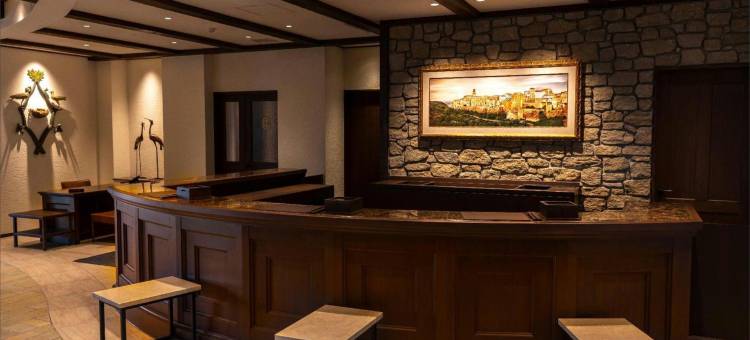 雾岛山拉维斯塔酒店(La Vista Kirishima Hills)图片