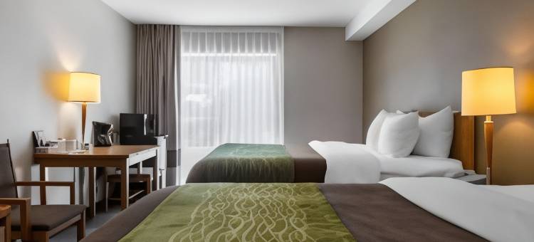 舒适酒店(Comfort Inn Dartmouth)图片