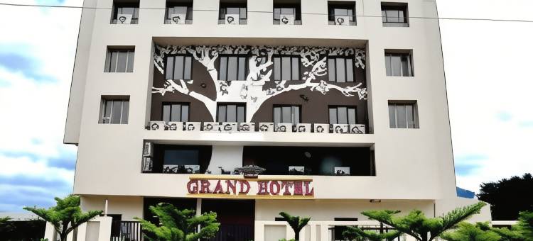 蓝毗尼大酒店(Lumbinis Grand Hotel)图片