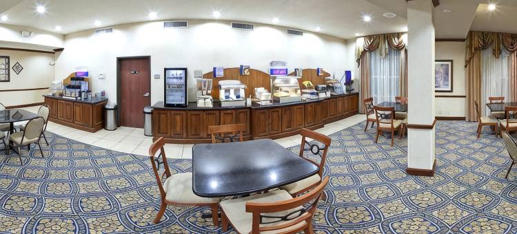 智选假日套房酒店谢尔曼HWY 75(Holiday Inn Express & Suites SHERMAN HWY 75 by IHG)图片