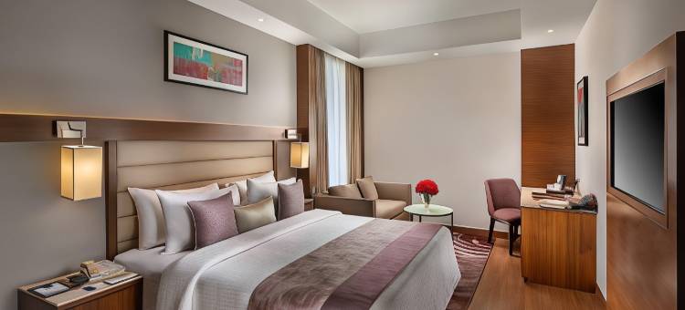 戈勒克布尔涅槃纳萨诺瓦门廊酒店(Nirvana Sarovar Portico Gorakhpur)图片