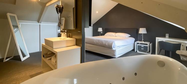 谢瓦布兰科贝斯特韦斯特酒店(Best Western le Cheval Blanc)图片