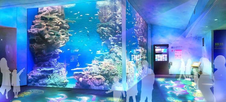 哈马达新城堡酒店(Hamada New Castle Hotel)图片