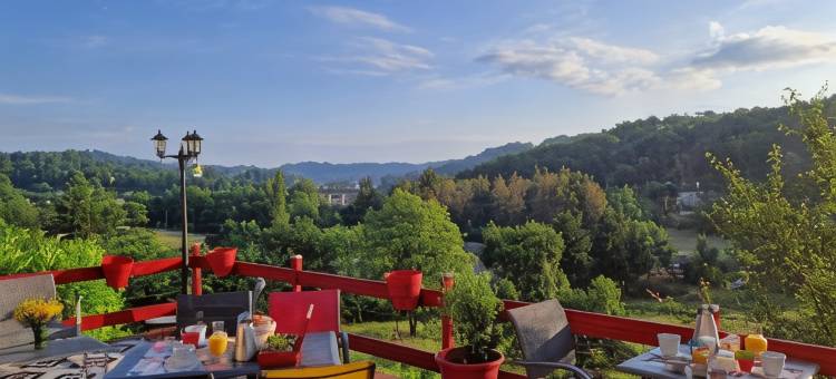 巴亚迪尼酒店(La Bayardine)图片