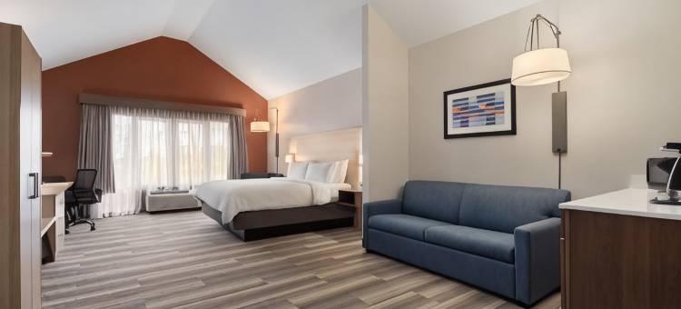 萨吉诺智选假日套房酒店(Holiday Inn Express & Suites Saginaw)图片