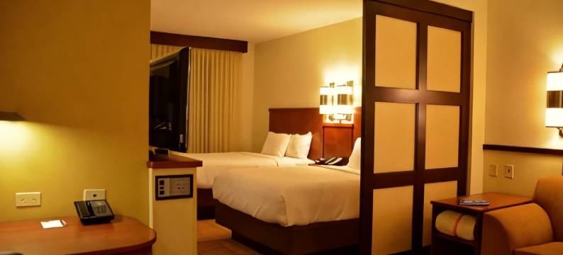 北查尔斯顿凯悦嘉轩酒店(Hyatt Place North Charleston)图片