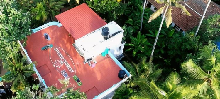 雅利维拉传统别墅(Aryavilla Heritage)图片