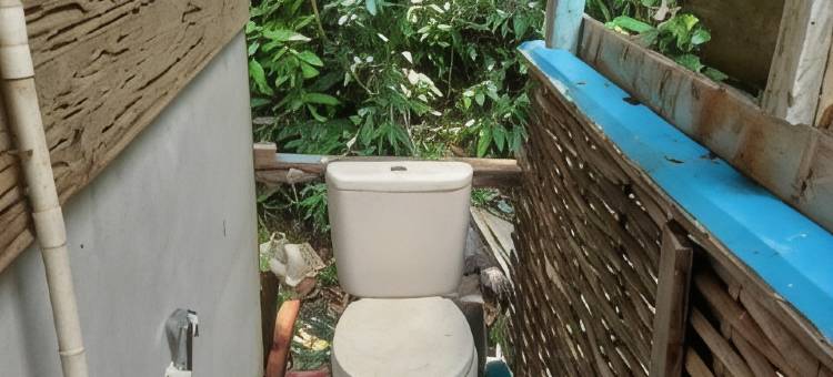 苏门答腊生态小屋(Sumatra Ecolodge)图片