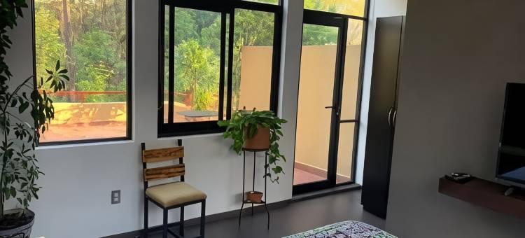 The Reef House Condesa丽芙之家Condesa(The Reef House Condesa)图片