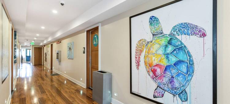 Samesun海滩(Samesun Ocean Beach)图片