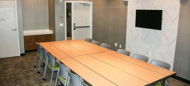 巴尔的摩白沼泽中河SpringHill Suites酒店(SpringHill Suites Baltimore White Marsh/Middle River)图片